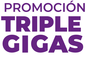 mockup_wt_portabilidad_pago unico-13